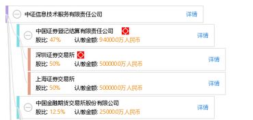 中證信息技術(shù)服務(wù)有限責(zé)任公司 軟件開發(fā)的引領(lǐng)者與創(chuàng)新實(shí)踐者