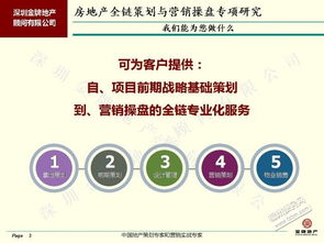 房地產(chǎn)項目全鏈服務 從前期拿地策劃到市場營銷的高效銜接